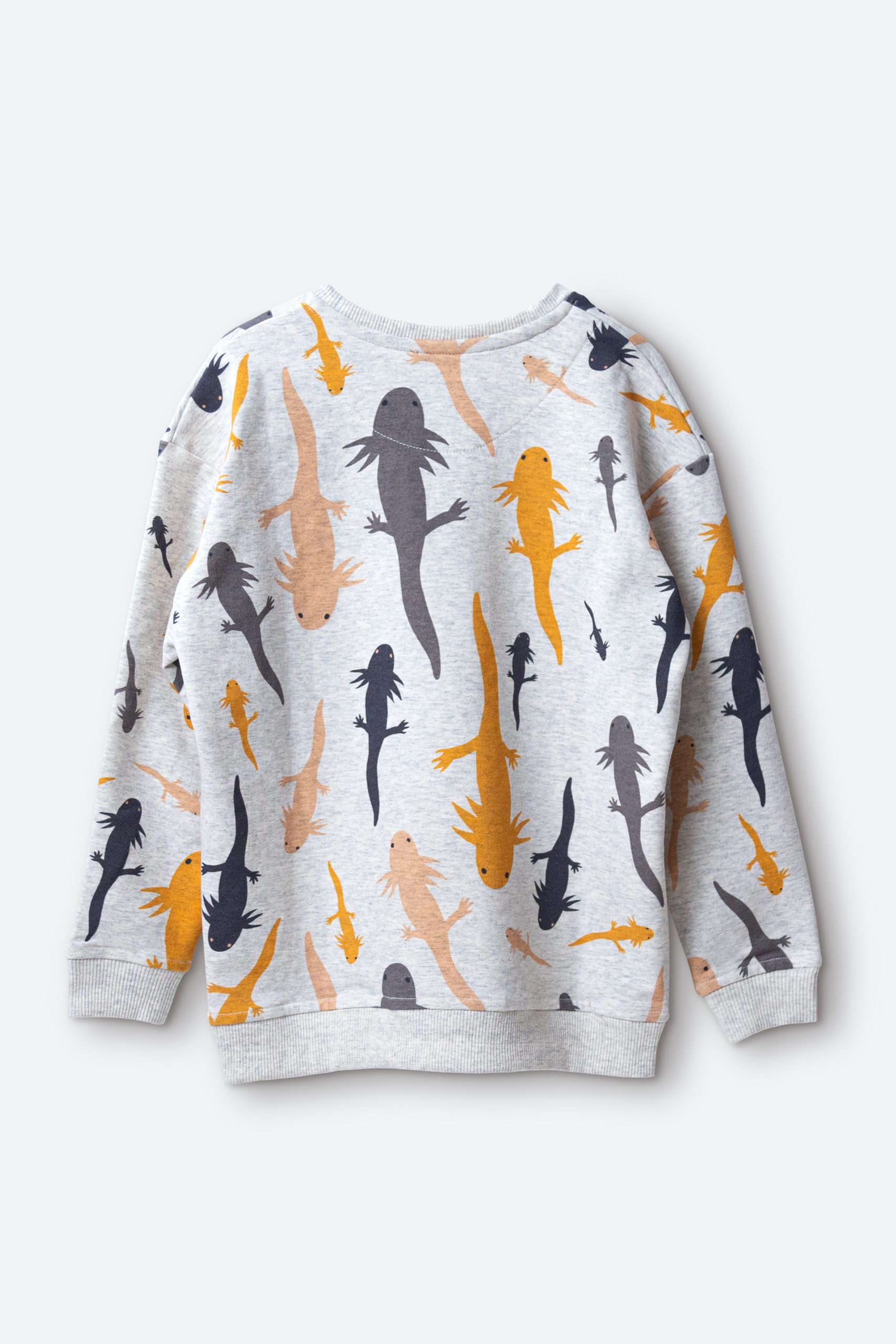 Axolotl sweatshirt / Kids veoveo - sudadera Ajolote - producto - dorso