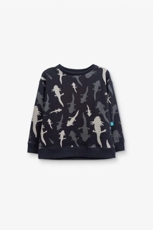 Axolotl Black Sweatshirt – Kids